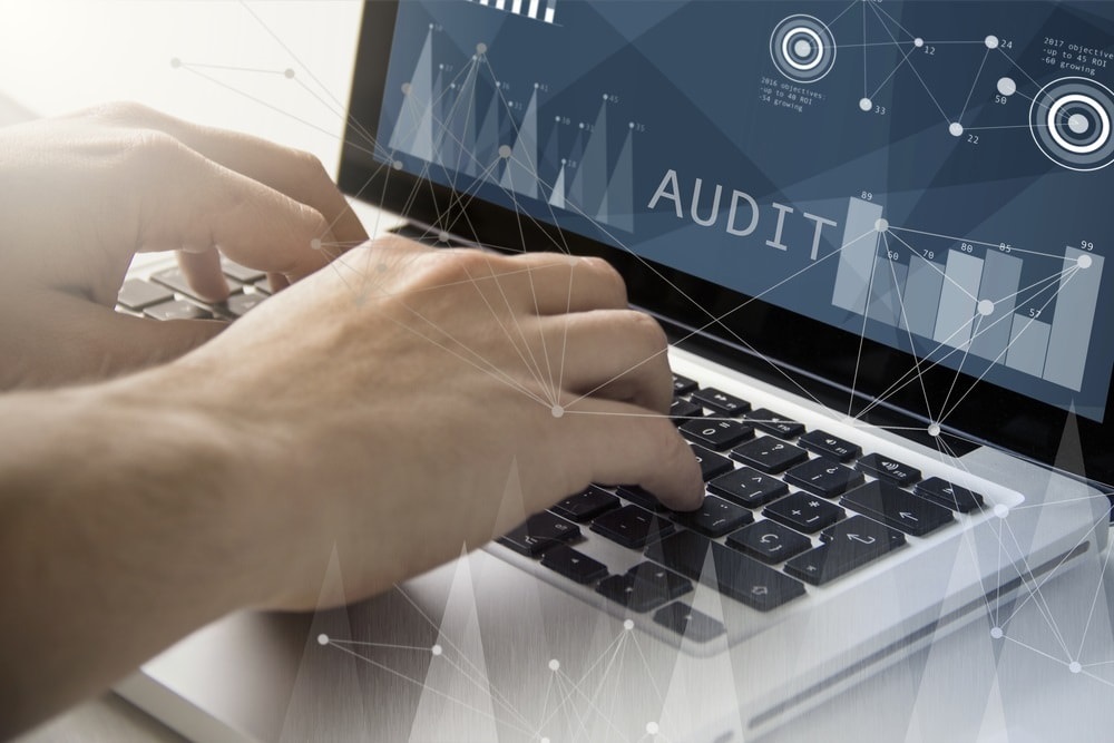 Technology Audit and Governance